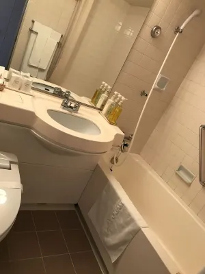 Ogaki Forum Hotel Camere Photos