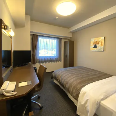 Hotel Route-Inn Ina Inter Rooms Photos