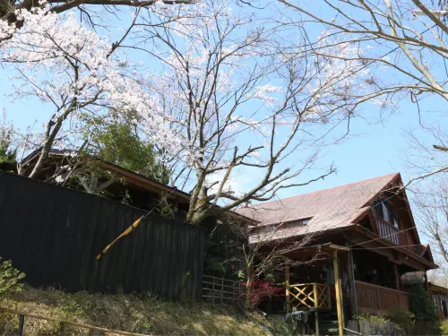 Kurasako Onsen Sakura Exterior Photos