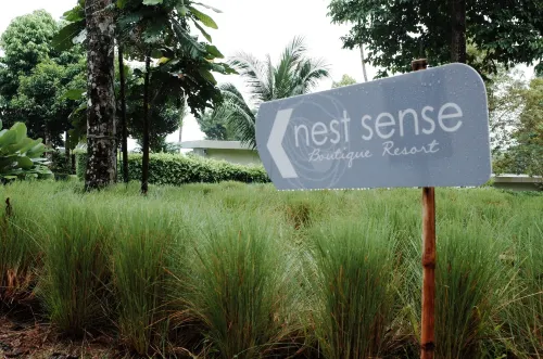 Nest Sense Resort Near Hotel Photos
