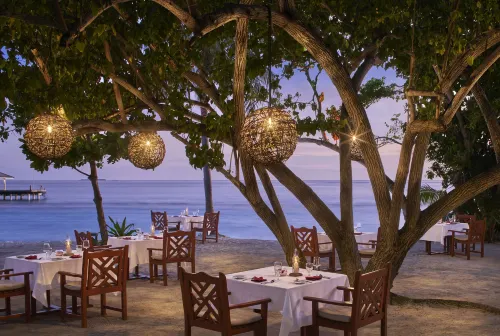 Royal Island Resort Питание Photos