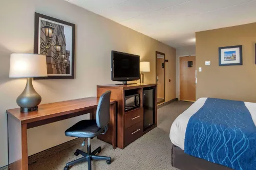 Comfort Inn Shady Grove - Gaithersburg - Rockville Phòng Photos