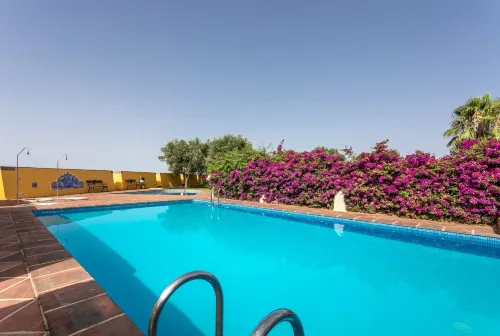 Hotel Sao Joao de Deus by Ridan Hotels À ne pas manquer Photos