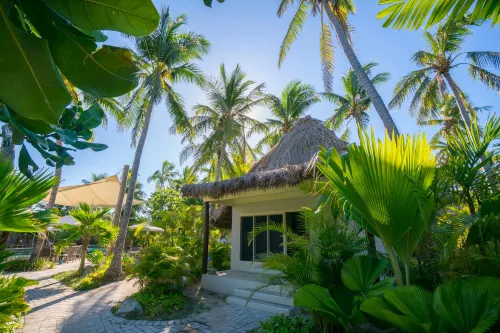 Castaway Island Fiji Öffentliche Flächen Photos