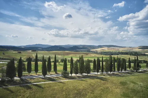 Rosewood Castiglion del Bosco Circondario Photos