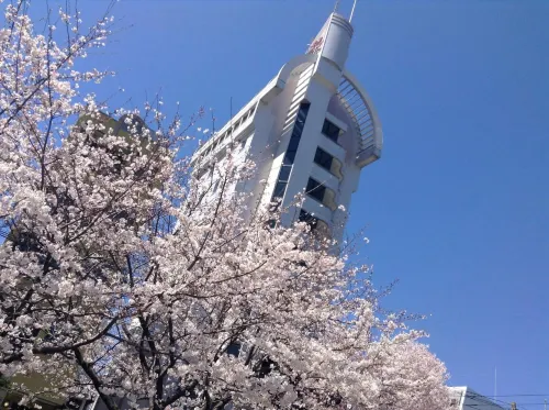 Hotel A'Bant Shizuoka À proximité de l'hôtel Photos