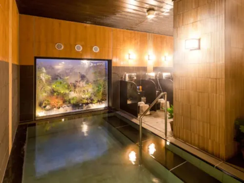 Toyoko Inn Higashi-hiroshima Saijo Ekimae Loisirs et amusements Photos