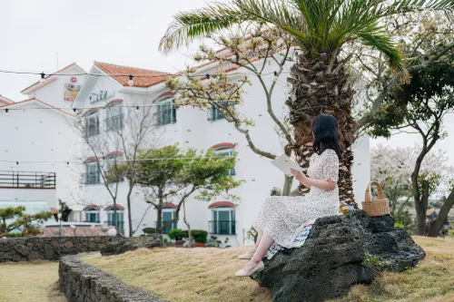 Cote Dor Hotel Aree comuni Photos
