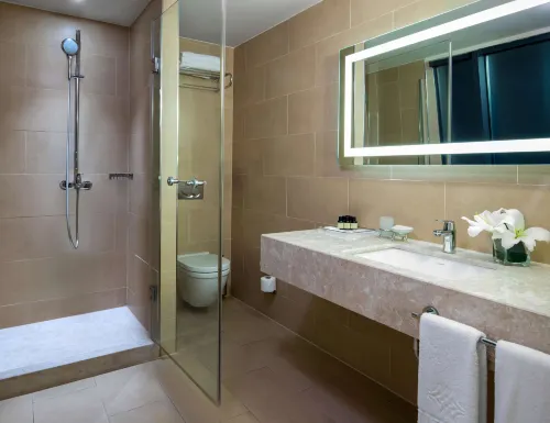 Windsor Hotel & Convention Center Istanbul Chambres Photos