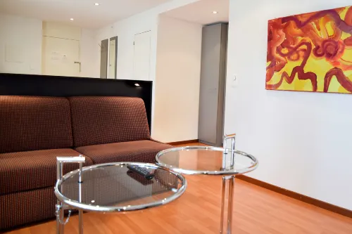 Hotel Rothaus Luzern & Peruvian Culinary Art Aree comuni Photos