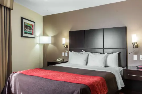 Comfort Inn Los Angeles near Hollywood Chambres Photos