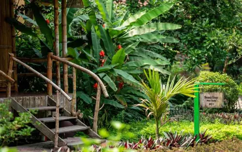 Khu Nghỉ Dưỡng An's Eco Garden Khu vực công cộng Photos