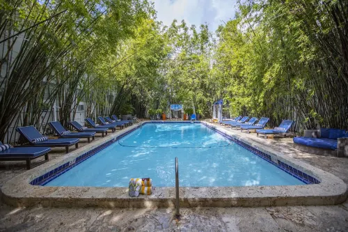 The Catalina Hotel & Beach Club Vapaa-aika ja virkistys Photos