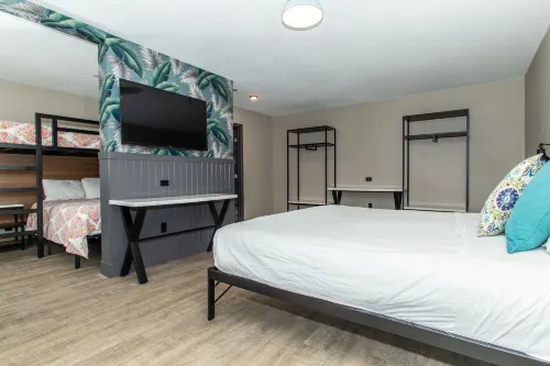 Magnolia Tree Hotel-Maingate/Anaheim Convention Center Rooms Photos