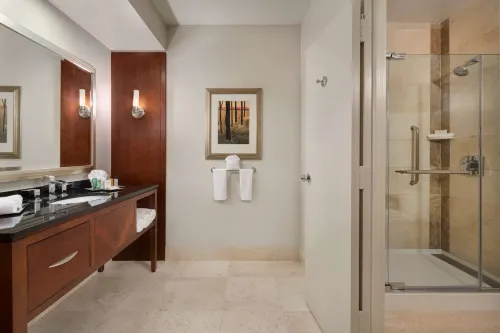 Hilton Houston-Post Oak by the Galleria Chambres Photos
