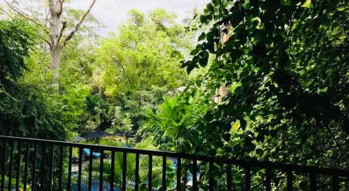 Flower Garden Eco Village Near Hotel Photos