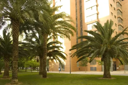 Apartamentos Plaza Picasso À proximité de l'hôtel Photos
