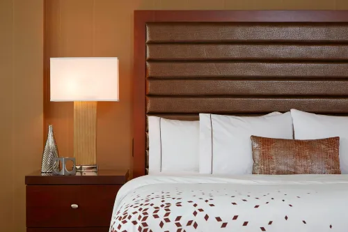 Renaissance St. Louis Airport Hotel Photos