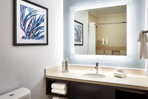 Hilton Garden Inn Valencia at Six Flags Chambres Photos