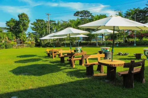 Luisita Central Park Hotel Public Areas Photos