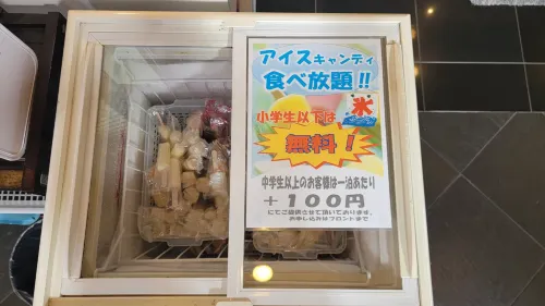 Access Inn Kariya Photos