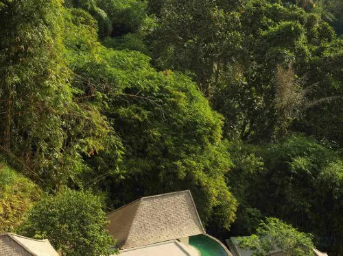 Cicada Resort Bali Ubud, Autograph Collection by Marriott International Dekat Hotel Photos