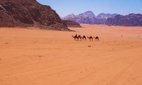 فندق انتركونتيننتال العقبة (منتجع العقبة) بالقرب من الفندق Photos