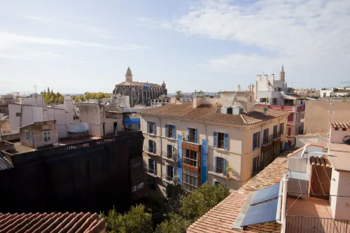 Palma Suites À proximité de l'hôtel Photos