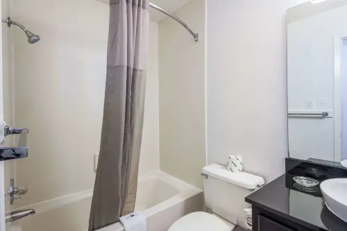 Motel 6 Hot Springs, AR Rooms Photos
