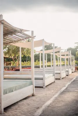 New Sunari Lovina Beach Resort Near Hotel Photos