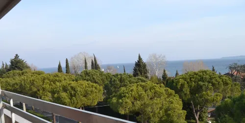 Hotel Oliveto À proximité de l'hôtel Photos