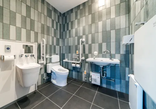 Daiwa Roynet Hotel Hiroshima-Ekimae Photos