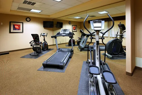 Holiday Inn Express & Suites Fresno Northwest-Herndon Loisirs et amusements Photos