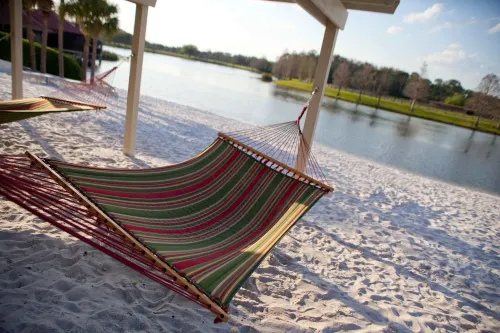 Hyatt Regency Grand Cypress Resort Leisure & Recreation Photos