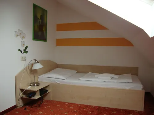 Lenas Donau Hotel Phòng Photos