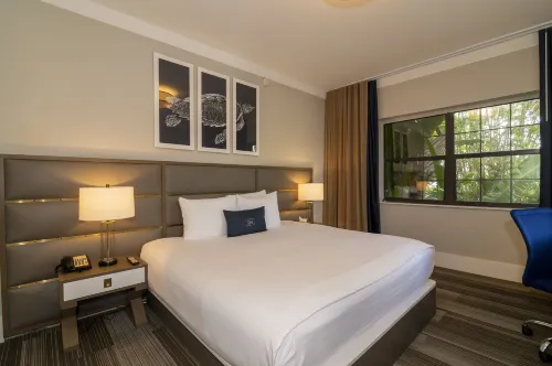 San Juan Hotel Miami Beach Chambres Photos