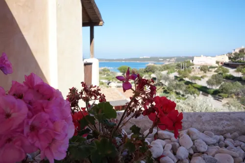 Bagaglino I Giardini di Porto Cervo À proximité de l'hôtel Photos
