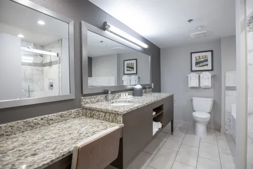 Holiday Inn St Louis SW - Route 66 Photos
