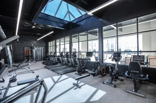 Holiday Inn St Louis SW - Route 66 Leisure & Recreation Photos