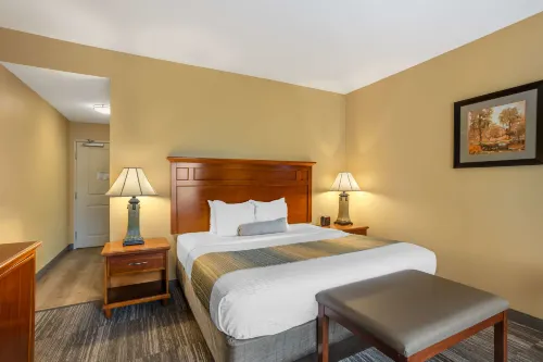 Best Western Plus University Park Inn  Suites Chambres Photos