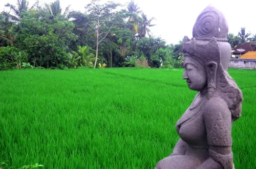 Plataran Ubud Hotel & Spa Dekat Hotel Photos