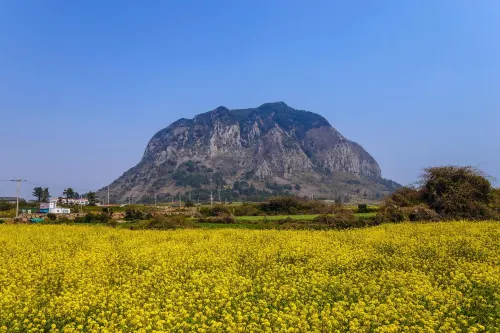 Dream Jeju Hotel À proximité de l'hôtel Photos