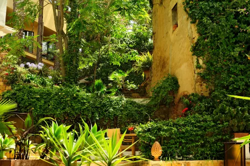 Hotel Alberi del Paradiso - Cefalù Esterni Photos