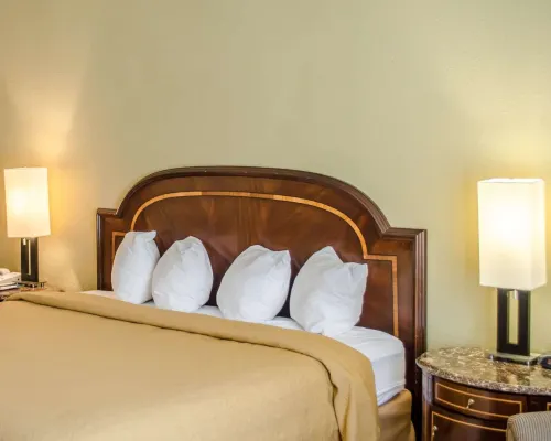 Quality Inn & Suites Pensacola Bayview Rooms Photos