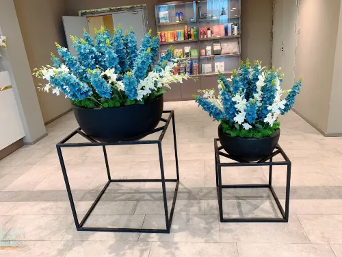 Yixuan Hotel (Fuzhou Sanfang Qixiang Dongmen Subway Station Store) Public Areas Photos