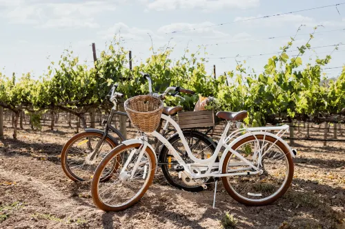 Four Seasons Resort Napa Valley Exterior Photos