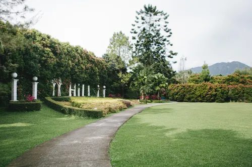 The Hill Hotel & Resort Sibolangit Powered by Archipelago Dekat Hotel Photos