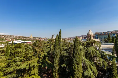 Tbilisi Marriott Hotel Near Hotel Photos