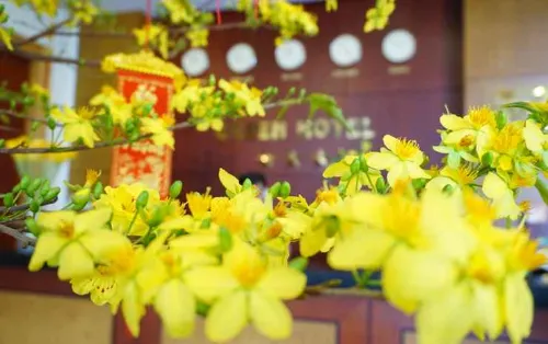 Green Hotel Vung Tau Chambres Photos