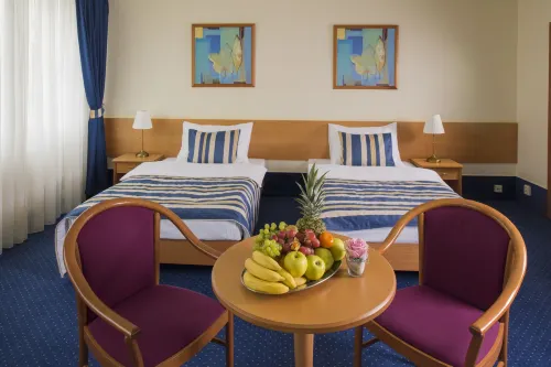 Top Hotel Praha Camere Photos